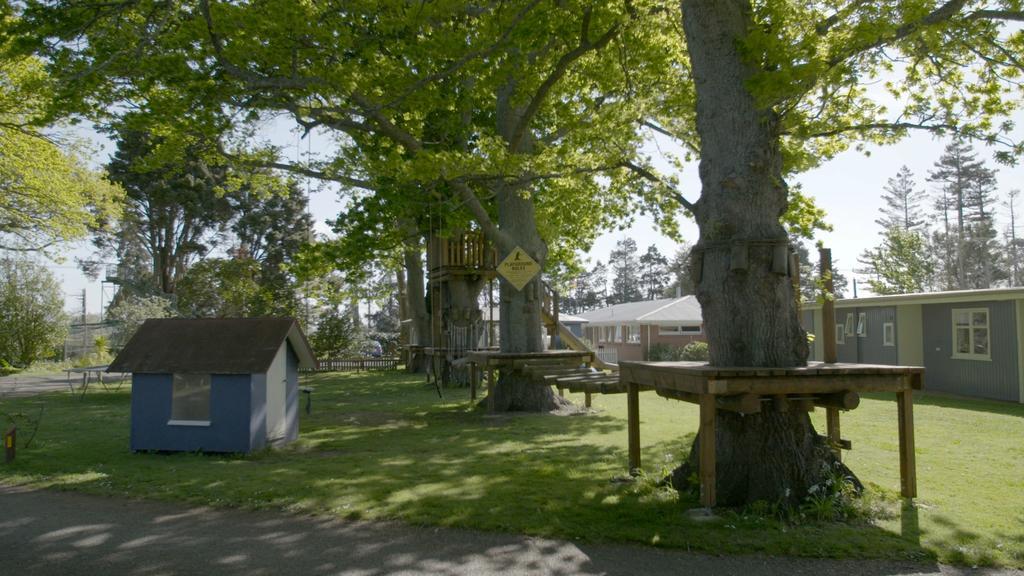 Te Aroha Holiday Park And Motels 外观 照片