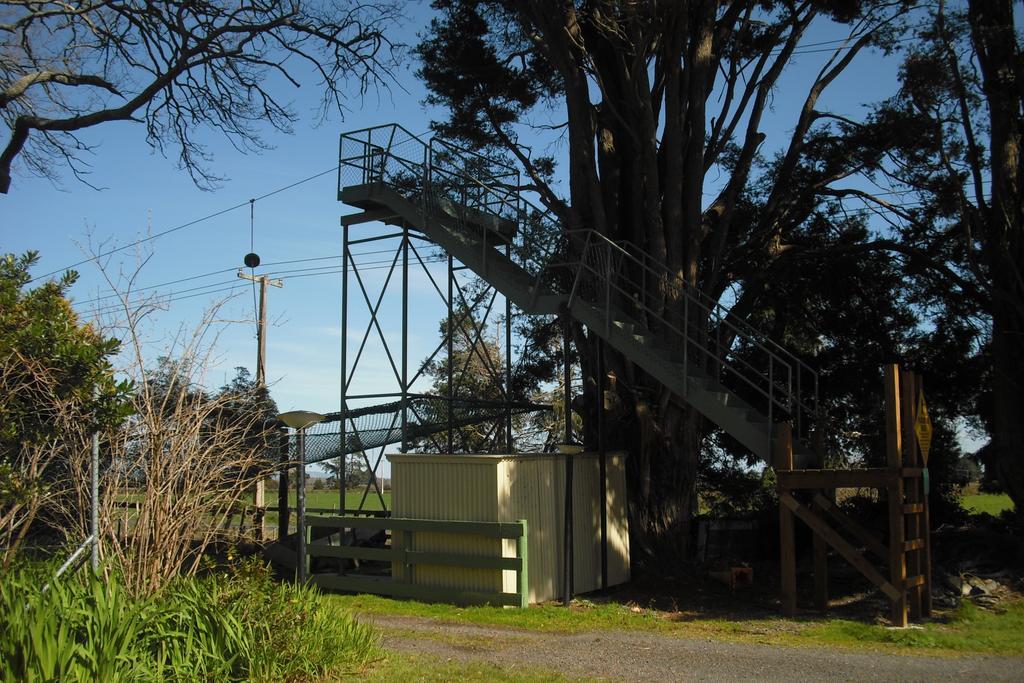 Te Aroha Holiday Park And Motels 外观 照片
