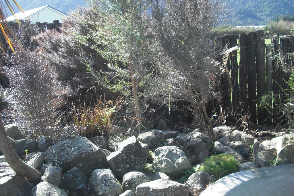Te Aroha Holiday Park And Motels 外观 照片